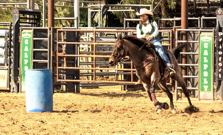 Layla Hanna and her horse do some drills