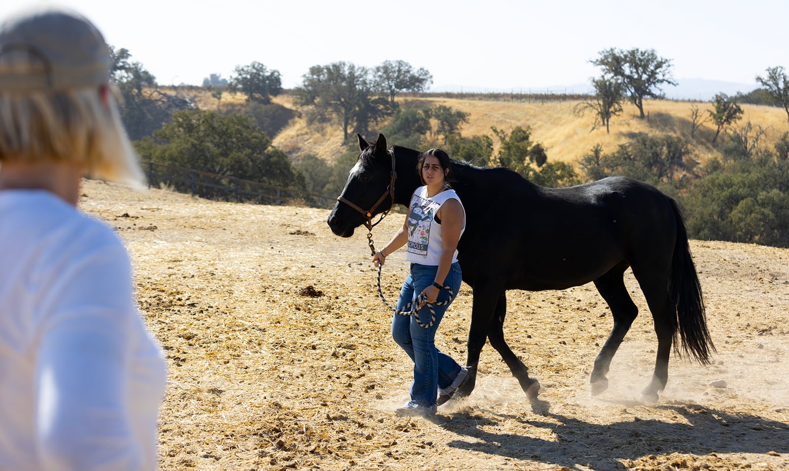 A student walks with a trotting horse