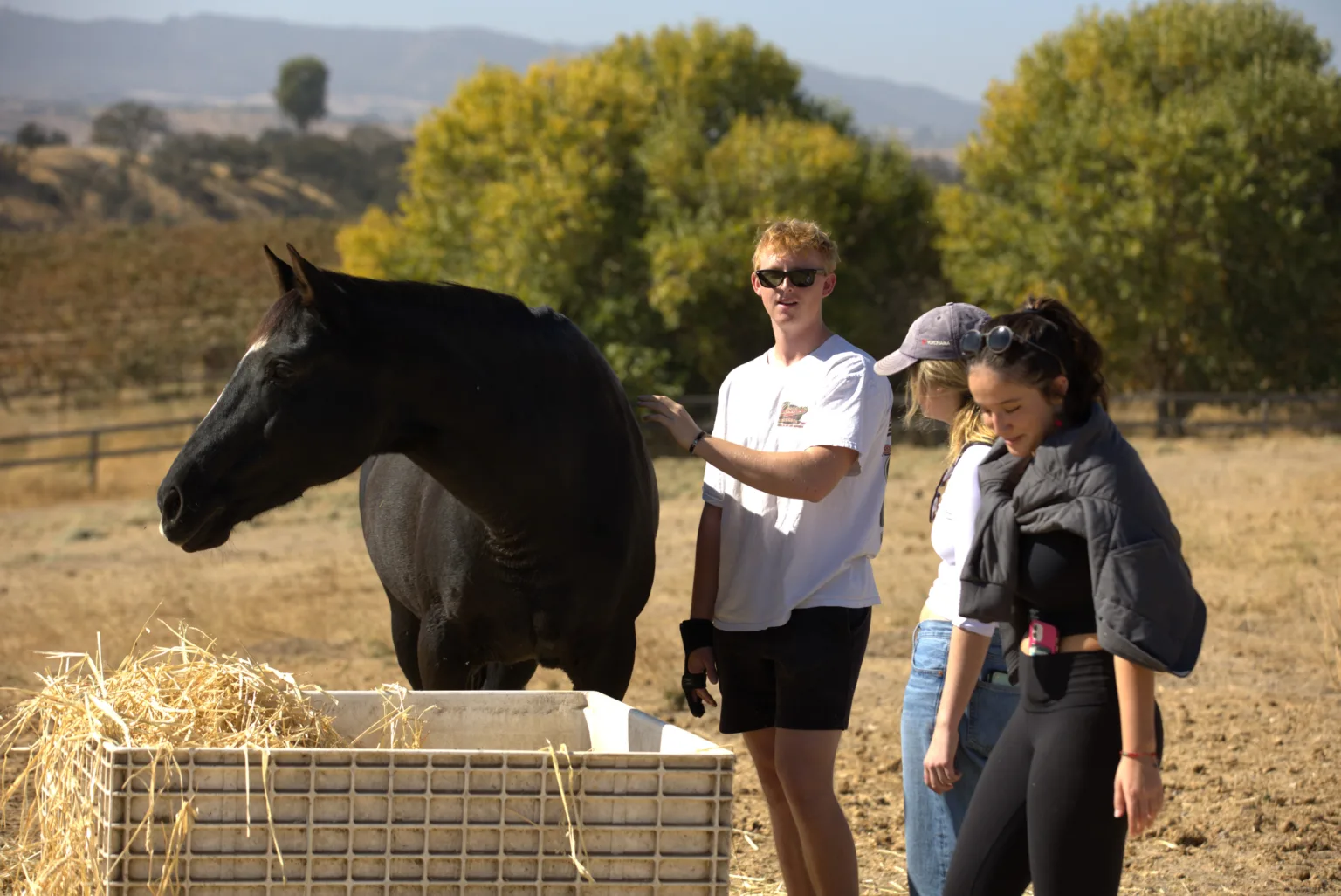 Students pet a horse