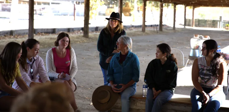 A group of students gather in an outdoor barn to discuss leadership and horses