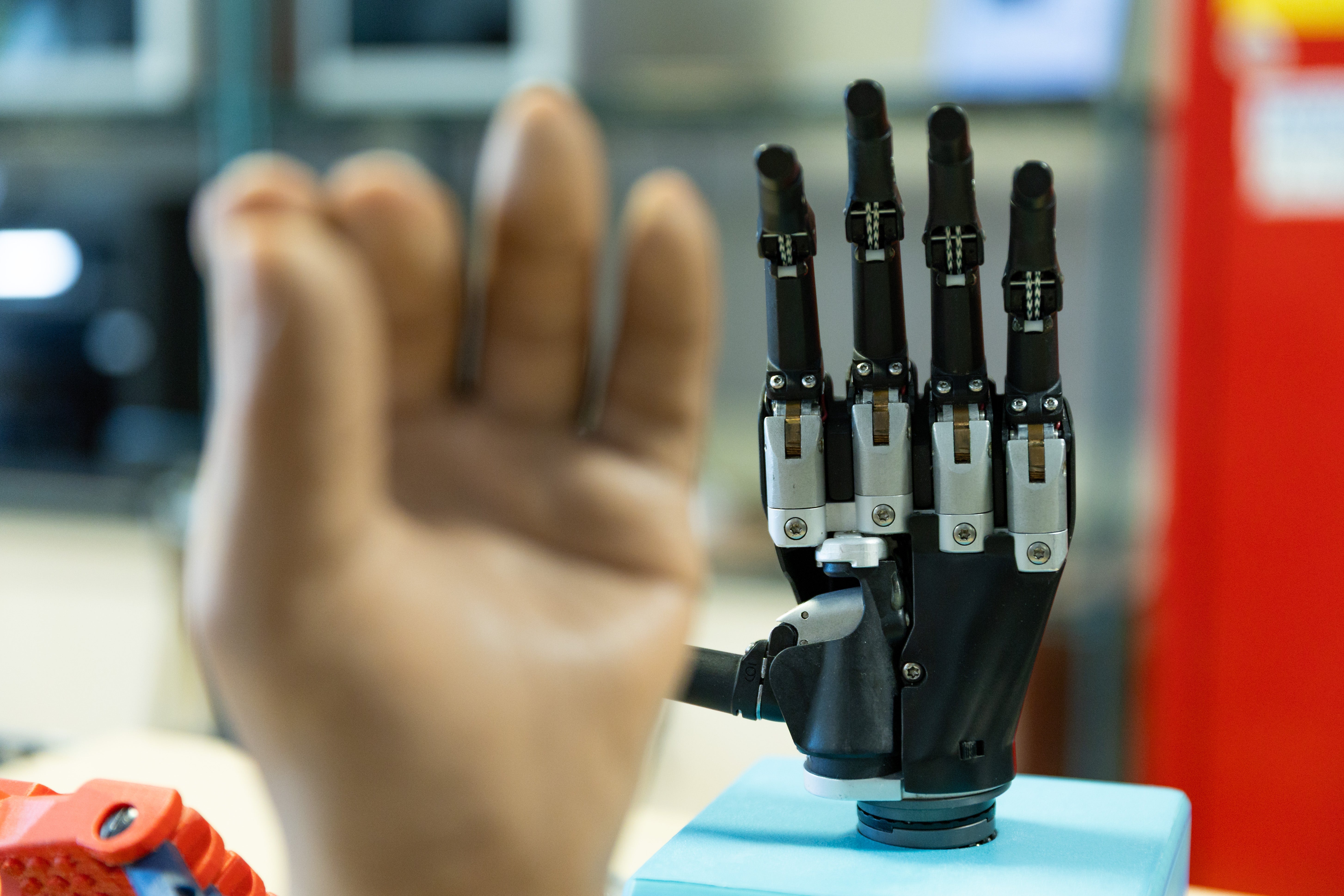 Two prosthetic hands sit upright on a table. 