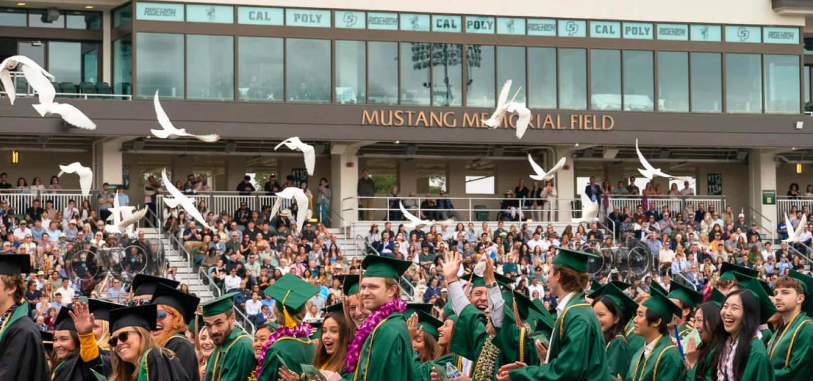 Doves fly over graduates at commencement