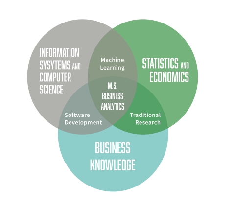 MSBA Diagram