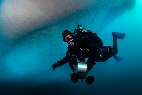 A diver, seen underwater in Antarctica