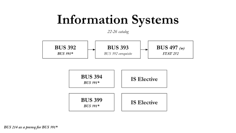 Information Systems