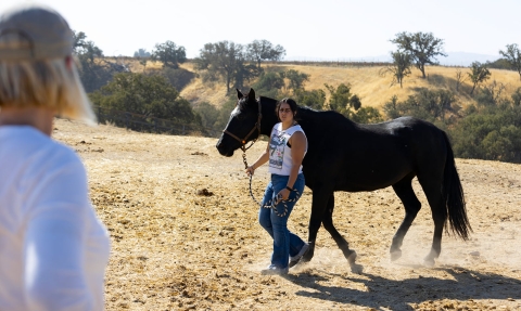 A student walks with a trotting horse