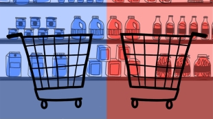 Graphic of shopping carts representing political polarization