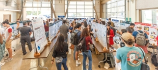 Students present their research findings at the Student Undergrad Research Project (SURP) Symposium in a large hall