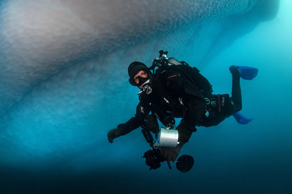 A diver, seen underwater in Antarctica