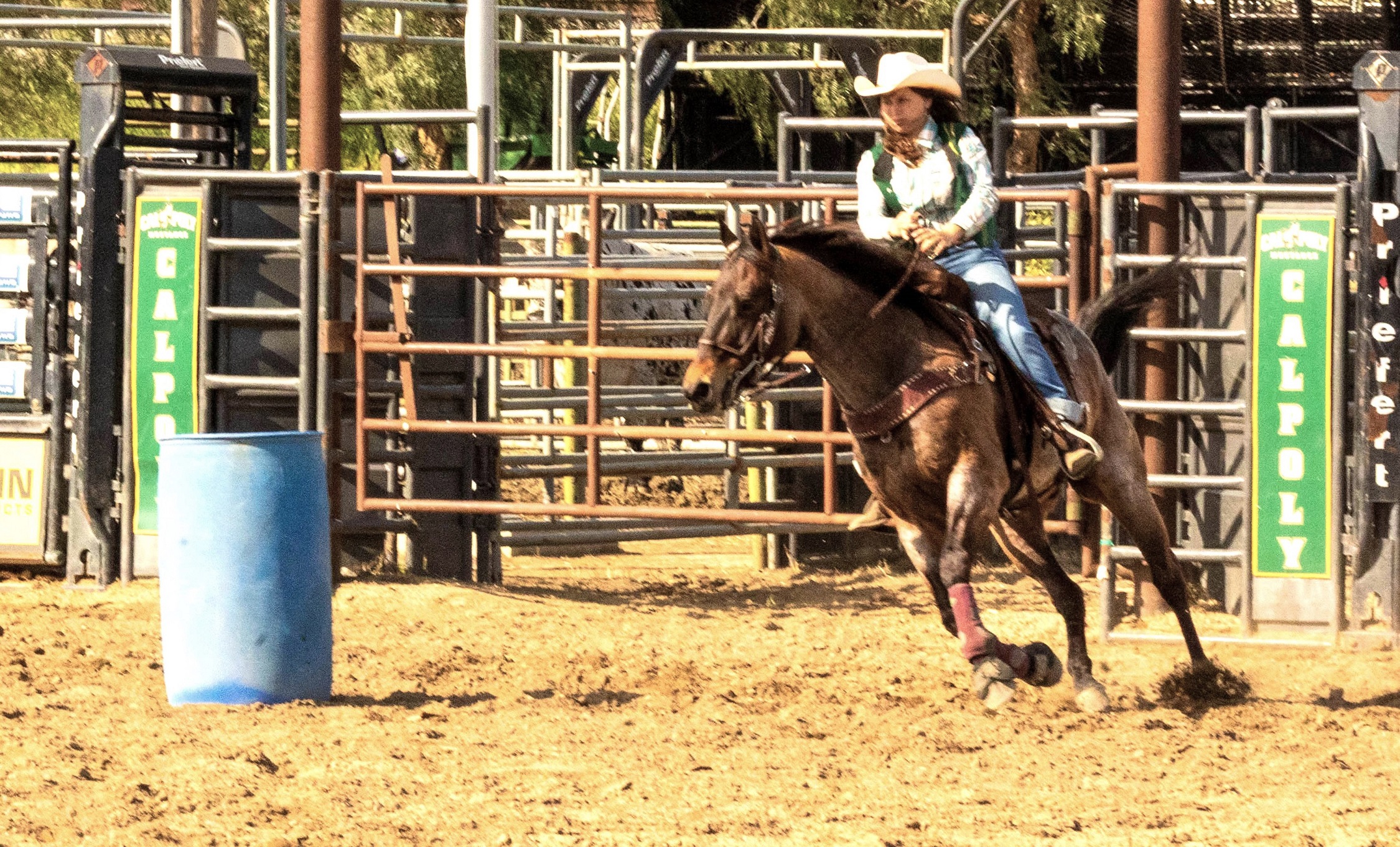 Layla Hanna and her horse do some drills