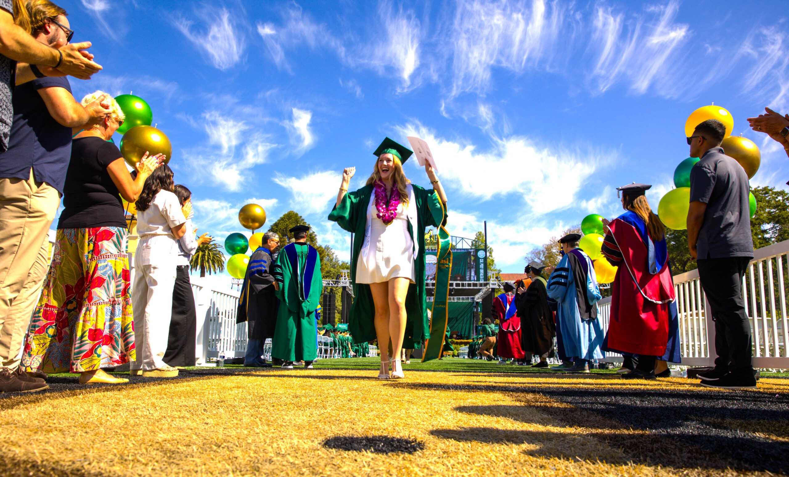 A student walks in the middle of a row of faculty at commencement
